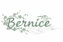 Bernice 国风Logo
